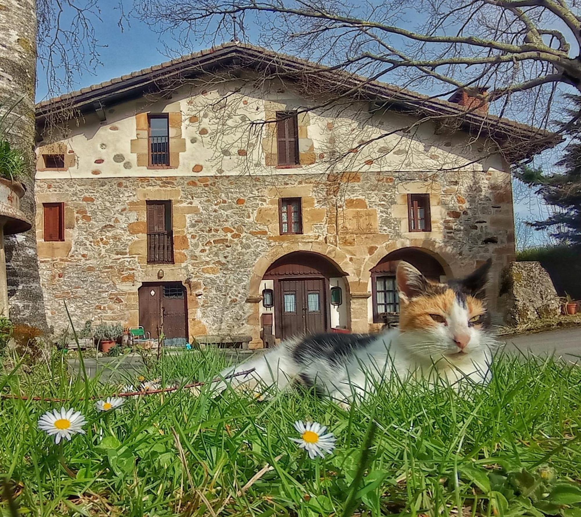 Casa Rural Areano Escoriaza Exterior foto